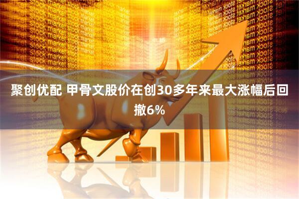 聚创优配 甲骨文股价在创30多年来最大涨幅后回撤6%