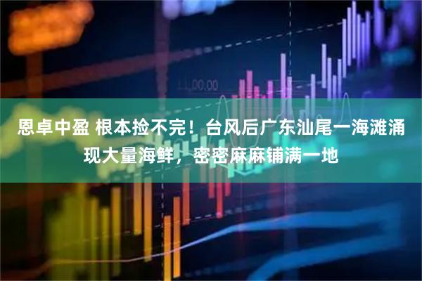 恩卓中盈 根本捡不完！台风后广东汕尾一海滩涌现大量海鲜，密密麻麻铺满一地