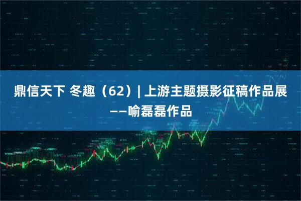 鼎信天下 冬趣(62)| 上游主题摄影征稿作品展——喻磊磊作品
