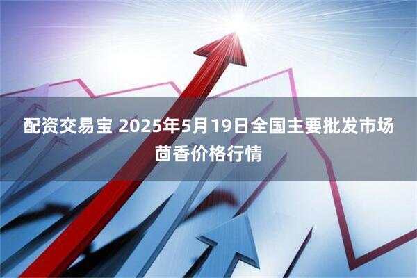 配资交易宝 2025年5月19日全国主要批发市场茴香价格行情