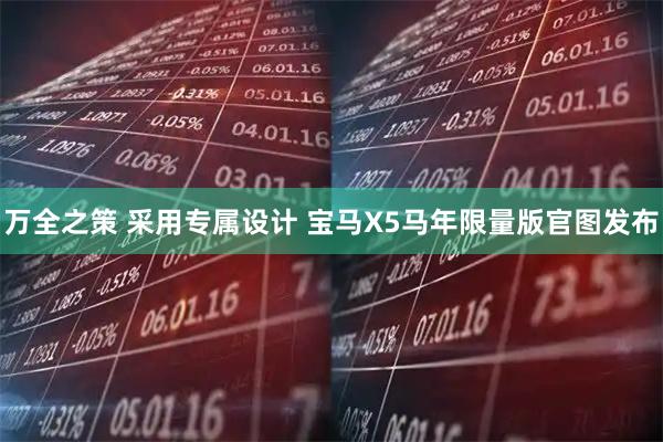 万全之策 采用专属设计 宝马X5马年限量版官图发布