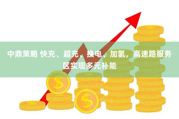 中鼎策略 快充、超充、换电、加氢，高速路服务区实现多元补能