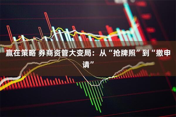 赢在策略 券商资管大变局：从“抢牌照”到“撤申请”