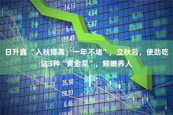 日升鑫 “入秋排毒，一年不堵”，立秋后，使劲吃这3种“黄金菜”，鲜嫩养人